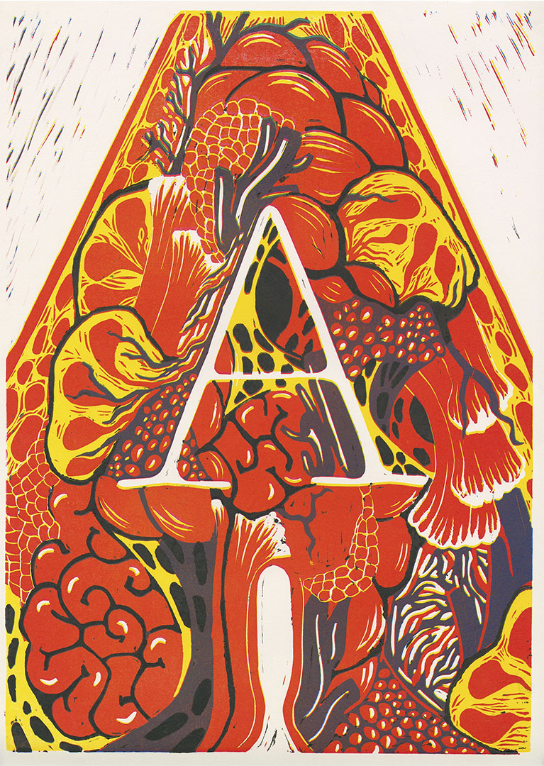A-natomie